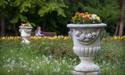 Фотопрогулка Школы фотографии OPEN FOTO по Екатерининскому парку