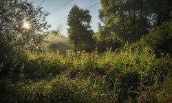 Пейзажная фотография: летний рассвет. Измайловский парк. Автор фото - Евгений Колков
