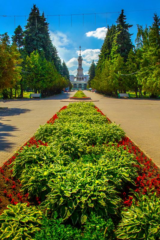 Парк Речного вокзала. 2015 год. Фото: Евгений Колков