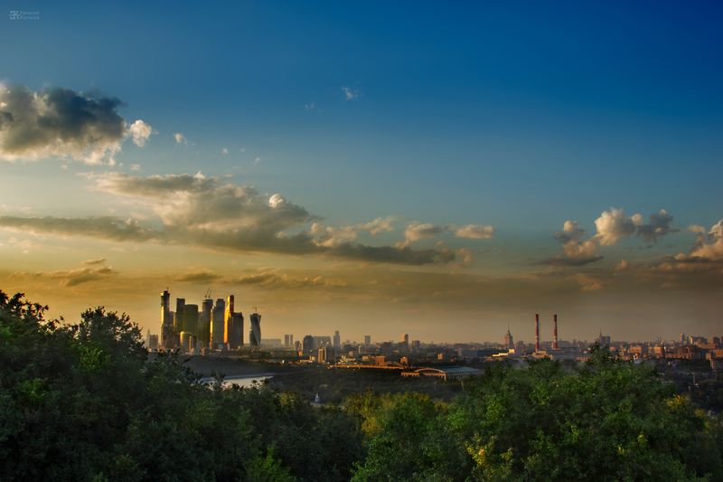 Воробьевы горы. Фото: Евгений Колков