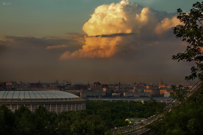 Воробьевы горы. Фото: Евгений Колков