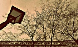 Графика московских бульваров. Фотограф - Ксения Жданова
