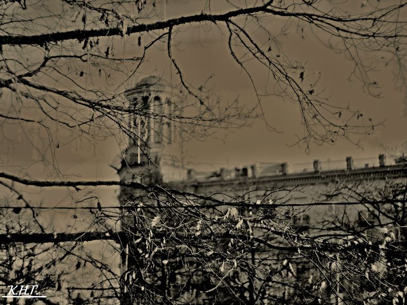 Фотопрогулка OPEN FOTO «Графика московских бульваров». Фото Николая Короткова (Дарка)