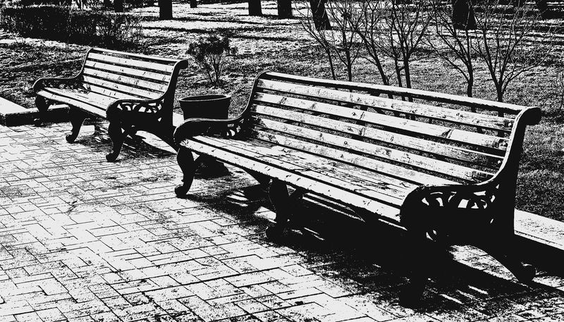 Фотопрогулка OPEN FOTO «Графика московских бульваров». Фото Марины Ремезовой