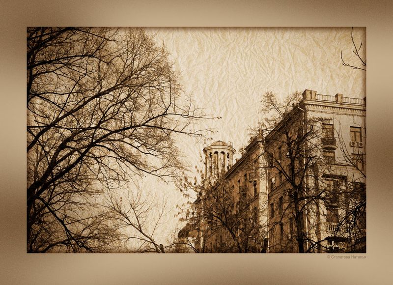 Фотопрогулка OPEN FOTO «Графика московских бульваров». Фото Натальи Столетовой