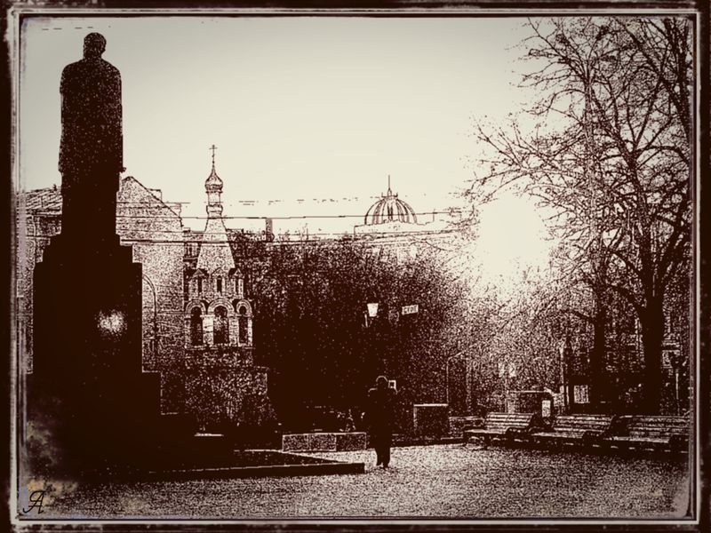 Графика московских бульваров. Фотограф - Алексей Яшин