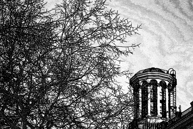 Фотопрогулка OPEN FOTO «Графика московских бульваров». Фото Дмитрия Шомина