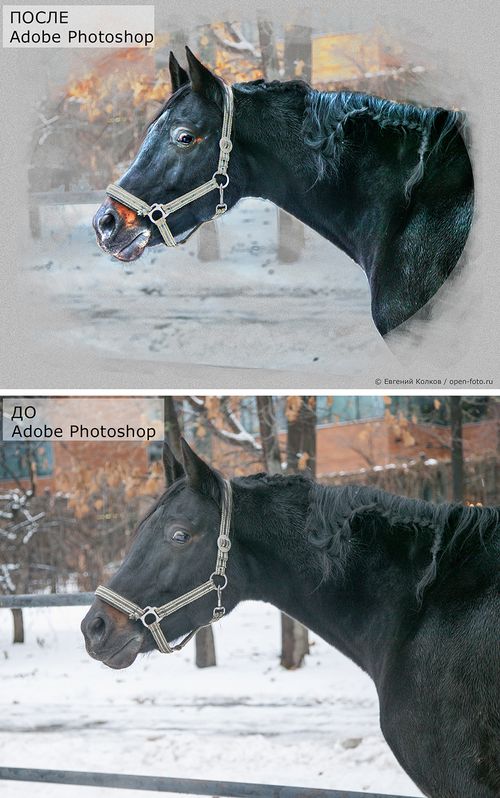 Photoshop для начинающих. Мастер-класс в Школе фотографии OPEN FOTO Photoshop для начинающих. Мастер-класс в Школе фотографии OPEN FOTO