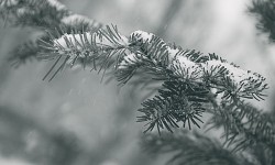 Фото Анны Орловой