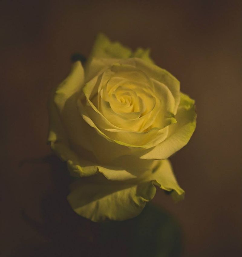 Фото Елены Басовой