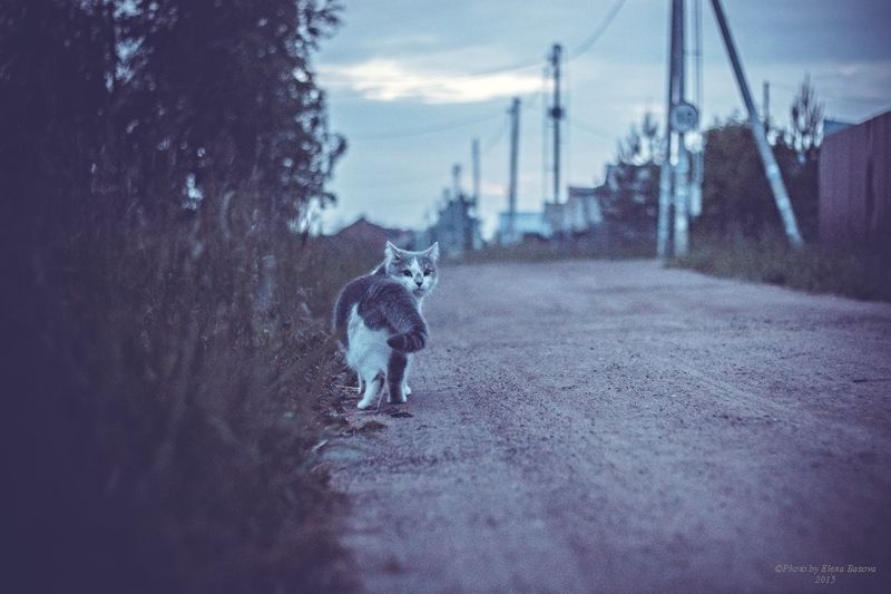 Фото Елены Басовой