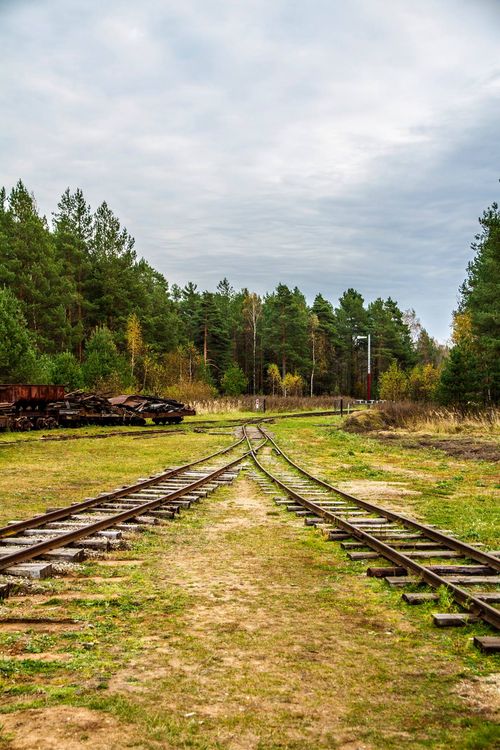 Фото Максима Малыгина Фото Максима Малыгина