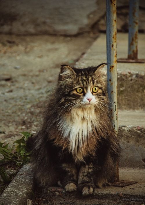 Фото Елены Басовой
