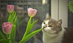 Фото Елены Басовой