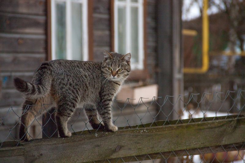 Фото Екатерины Соловьевой Фото Екатерины Соловьевой