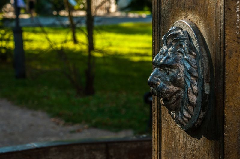 Измайловский остров. Фото: Ксения Жданова