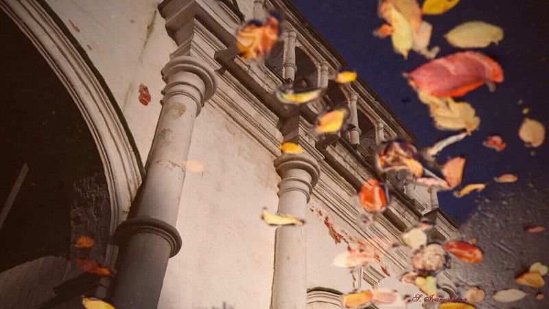 Измайловский остров. Фото: Светлана Иванушкина