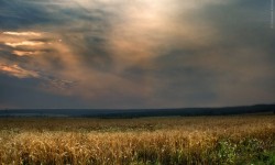 На озере Плещеево. Фото: Евгений Колков