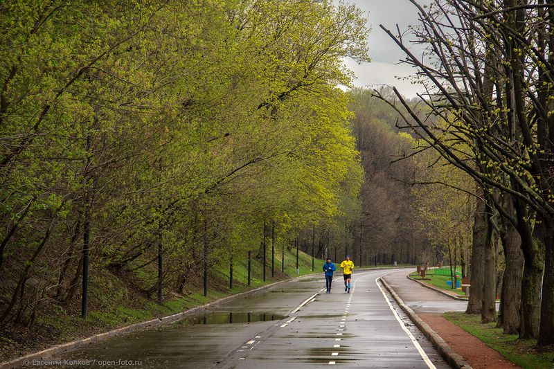 Воробьевы горы. Фото: Евгений Колков