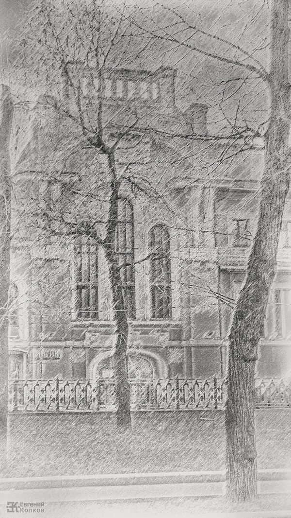Графика московских бульваров. Фотограф - Евгений Колков