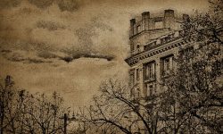Графика московских бульваров. Фотограф - Евгений Колков