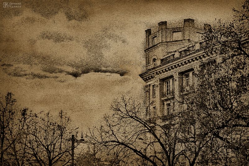 Графика московских бульваров. Фотограф - Евгений Колков