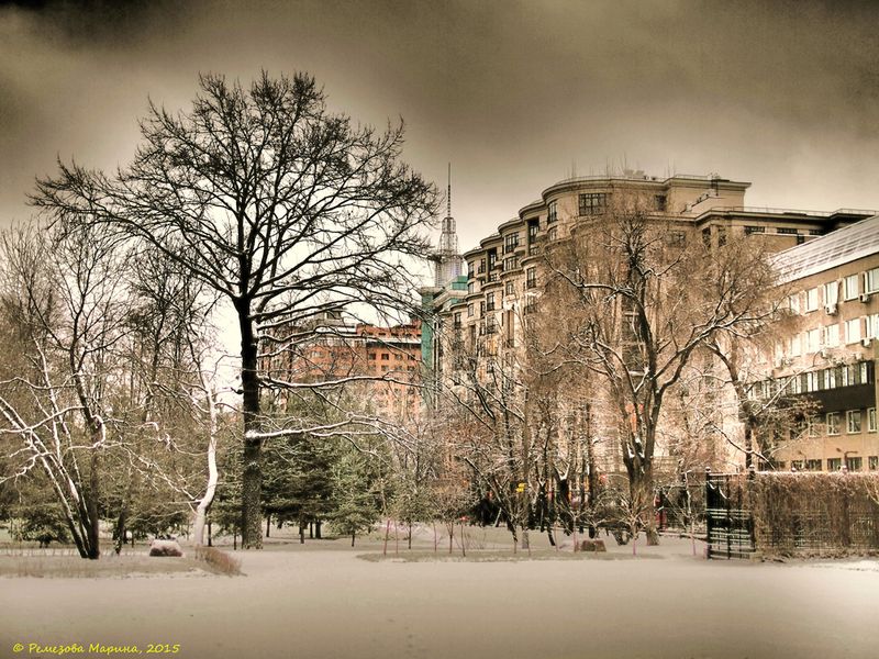 Усадьба Трубецких в Хамовниках. Фотограф - Марина Ремезова