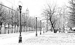 Фото Алексея Горбунова с фотопрогулки OPEN FOTO