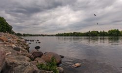 Фото: Алексей Горбунов