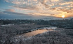 Фото: Алексей Горбунов