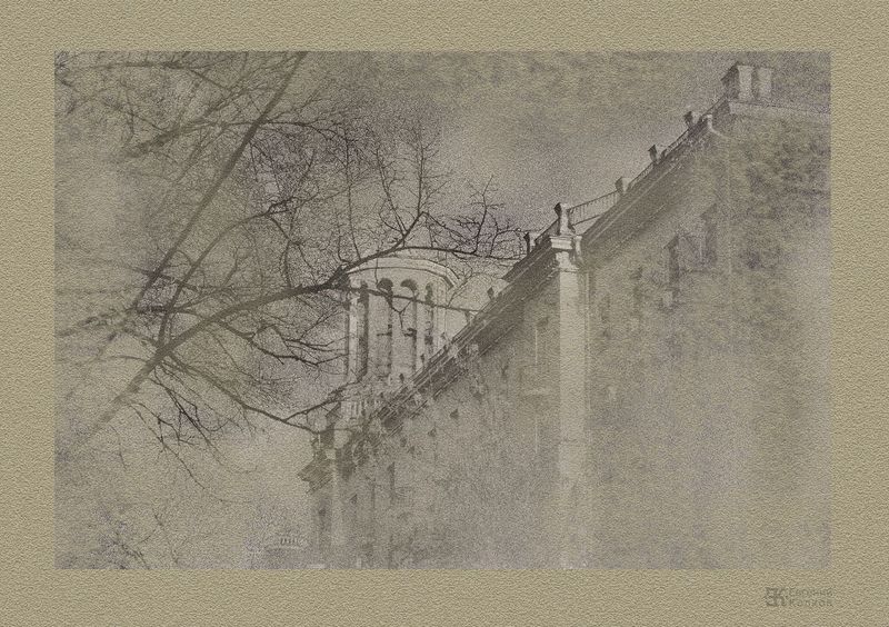 Графика московских бульваров. Фото: Евгений Колков Графика московских бульваров. Фото: Евгений Колков