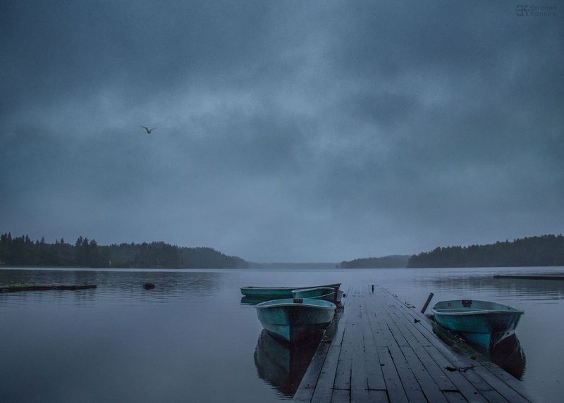 Фото: Евгений Колков