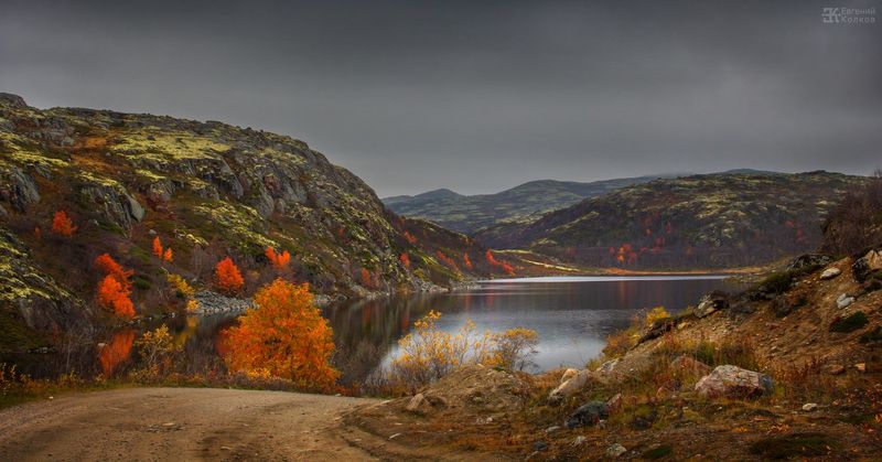 Фото: Евгений Колков