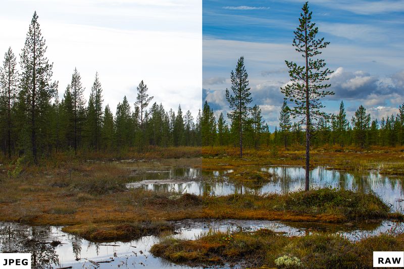 RAW vs JPEG. Фото: Евгений Колков