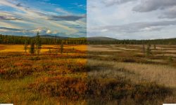 RAW vs JPEG. Фото: Евгений Колков