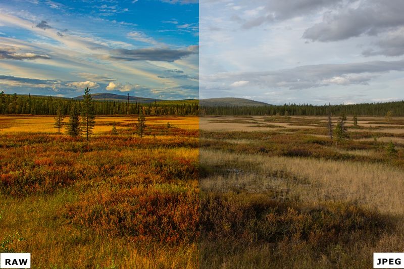 RAW vs JPEG. Фото: Евгений Колков