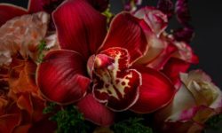 Фото: Евгений Колков