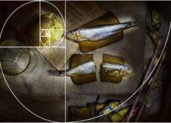 Азы фотографии: композиция кадра. Открытый урок в OPEN FOTO