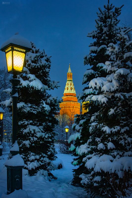 Фото: Евгений Колков