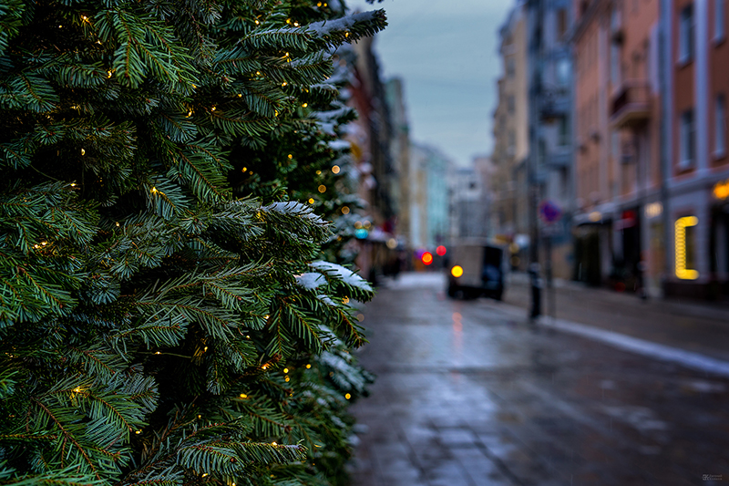 Фото: Евгений Колков